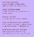 Screenshot 2025-01-24 161510.webp